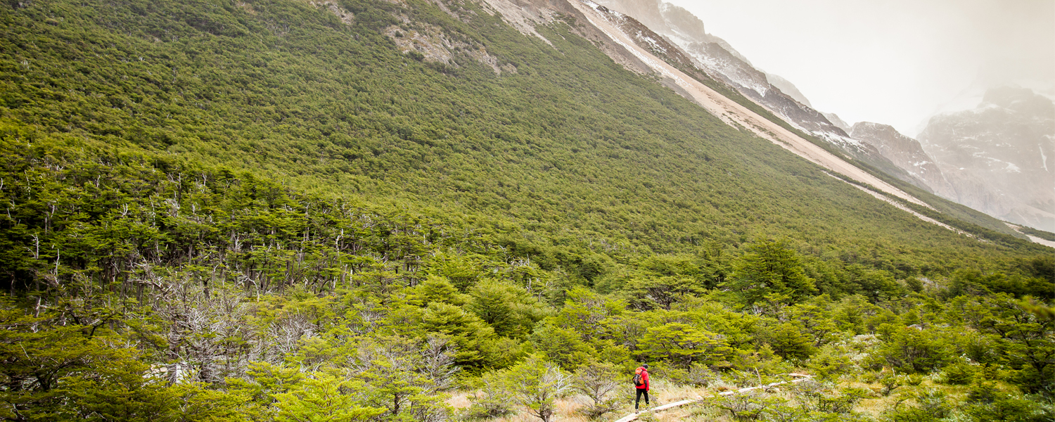 El Chaltén