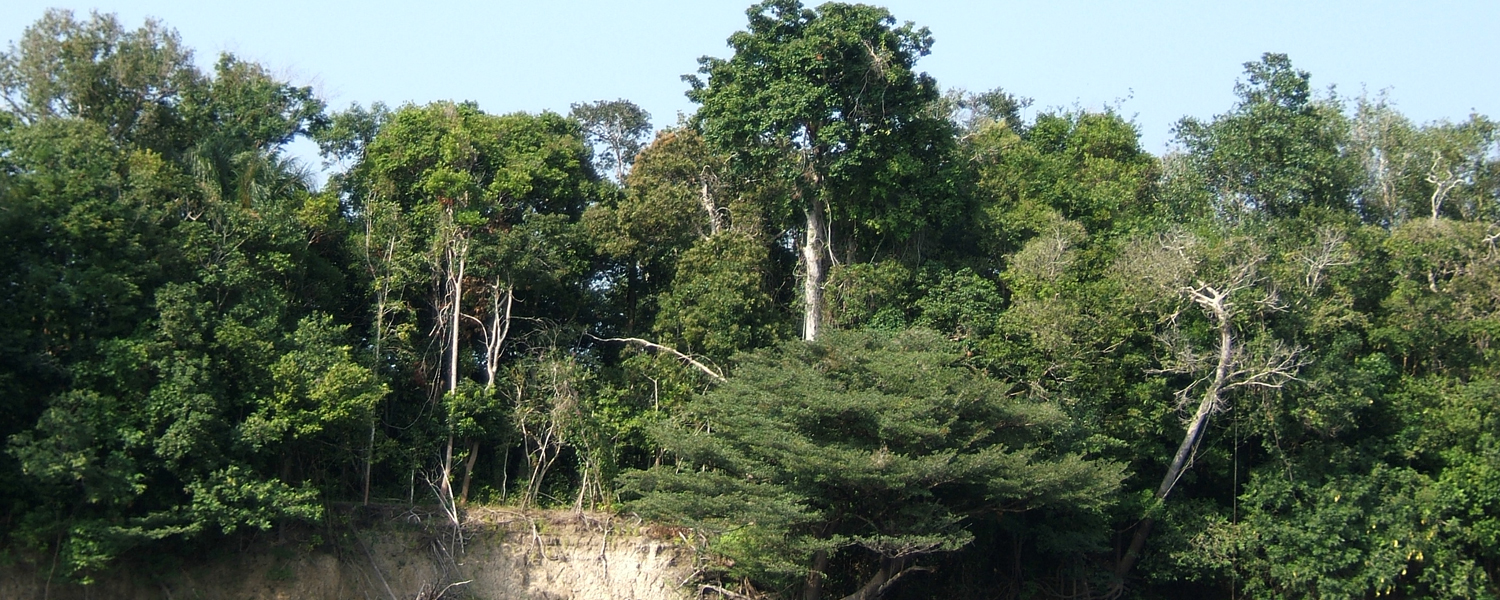 Amazônia