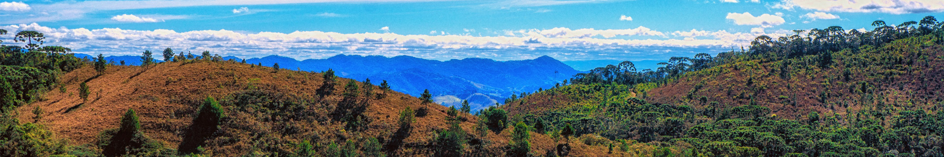 Campos do Jordão