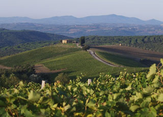 Castiglion del Bosco