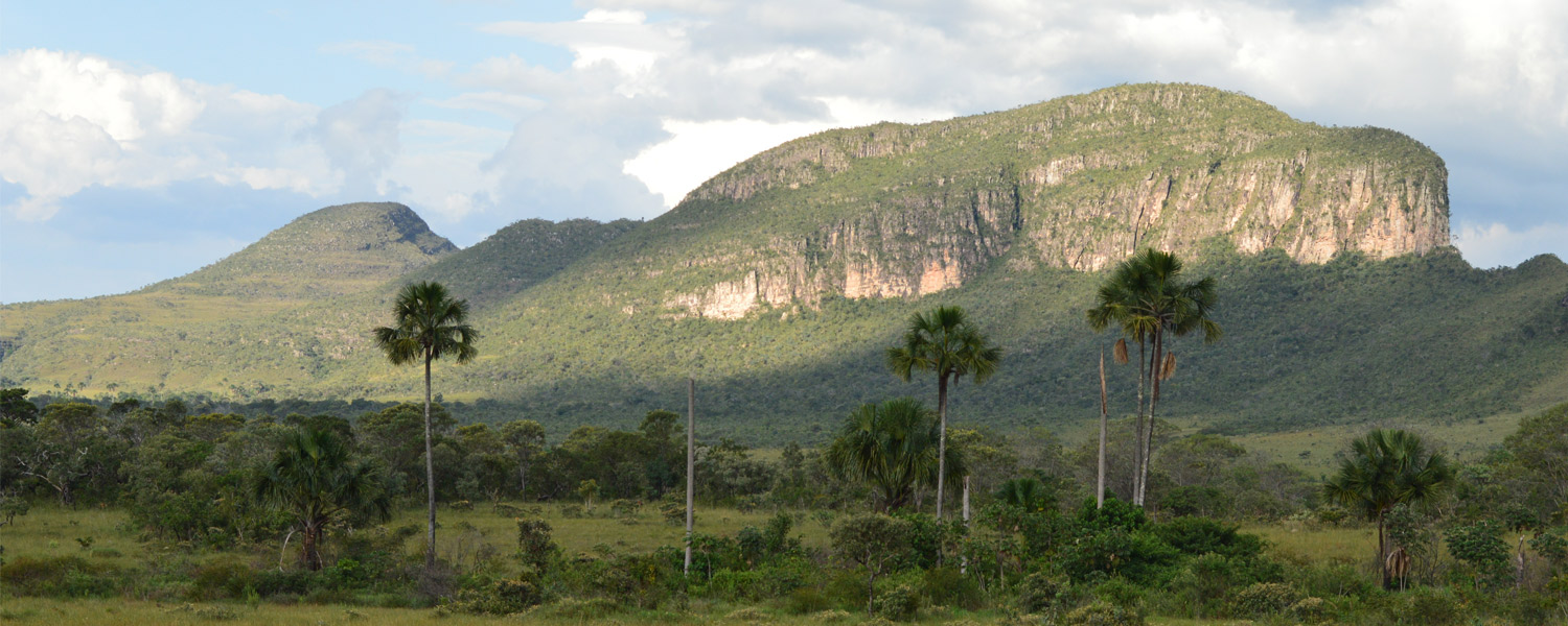 Chapada dos Veadeiros