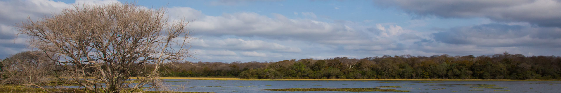 Mato Grosso do Sul