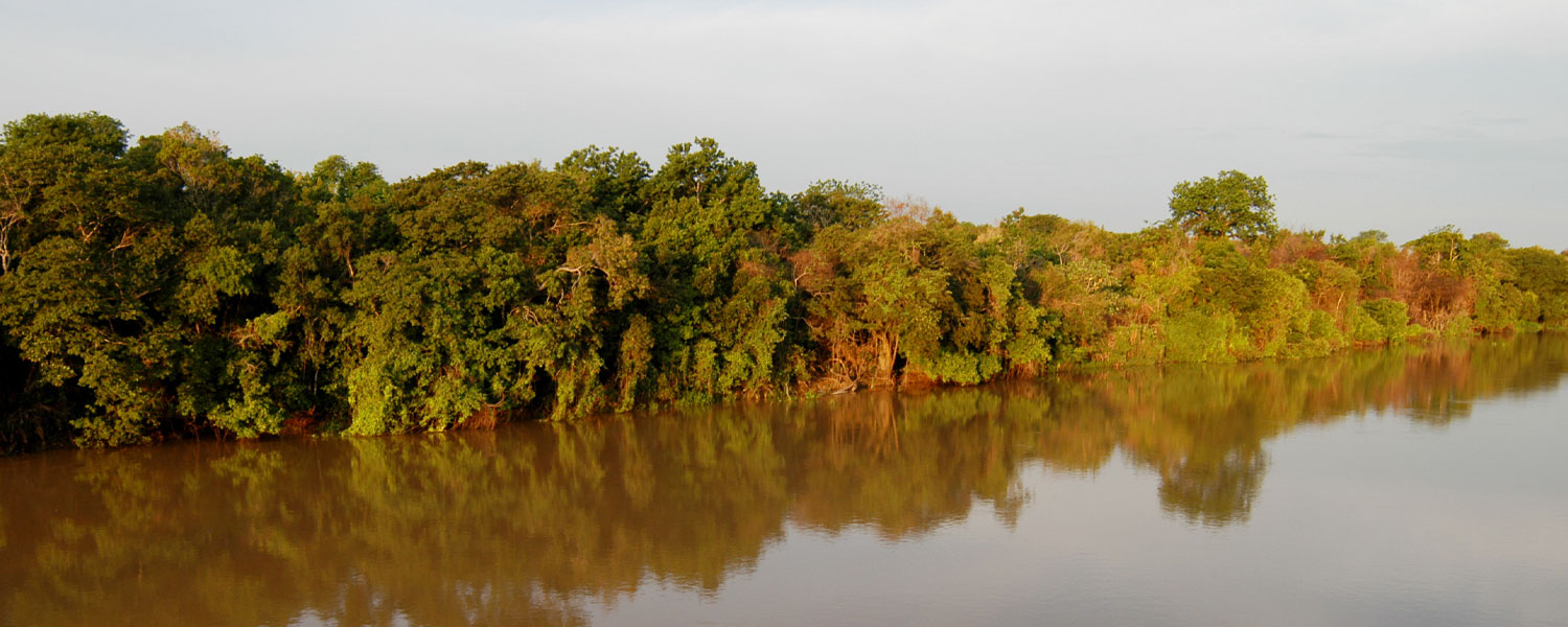 Pantanal