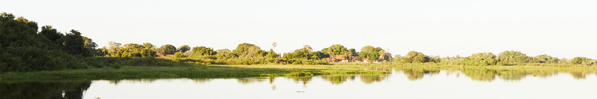 Pantanal