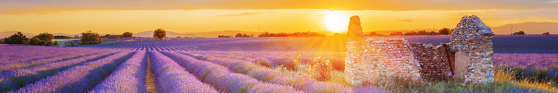 Provence