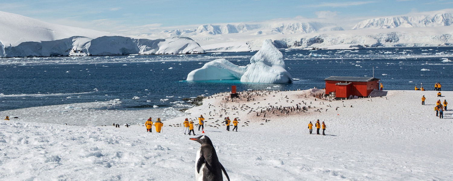 Quark Expeditions