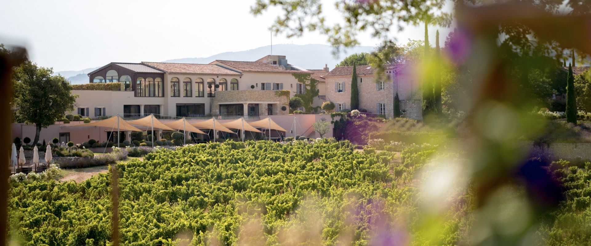 Hotéis em vinícolas: 10 destinos incríveis na Europa para amantes de vinho