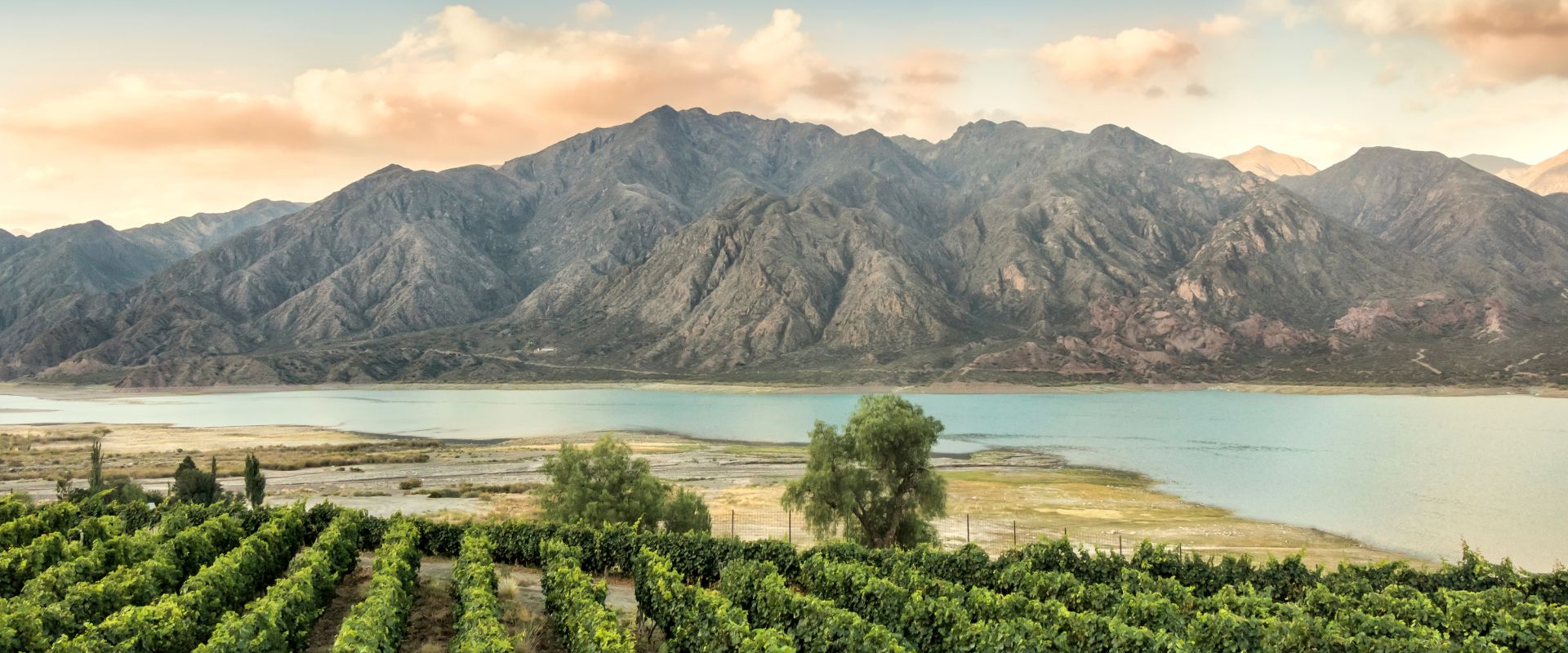 Mendoza: 6 experiências além do vinho