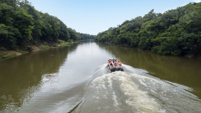 Grand Amazon Expedition