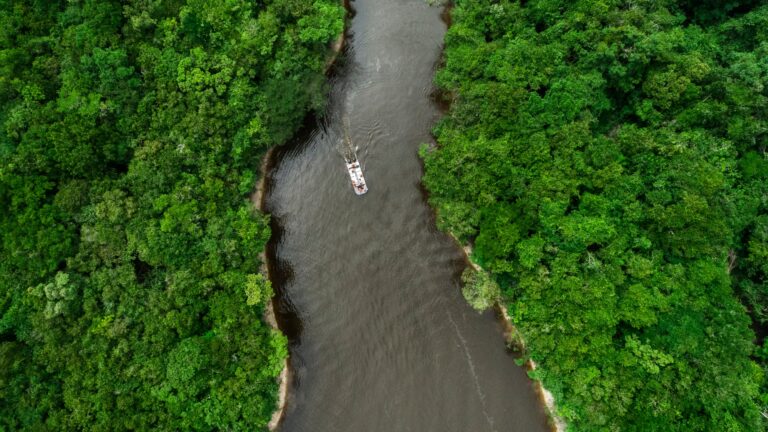 Grand Amazon Expedition