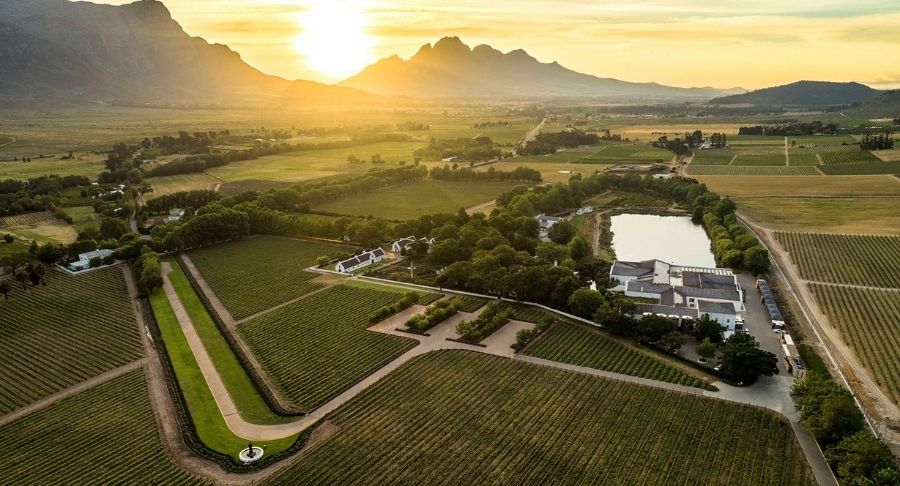 vinícola La Motte Wine Estate 