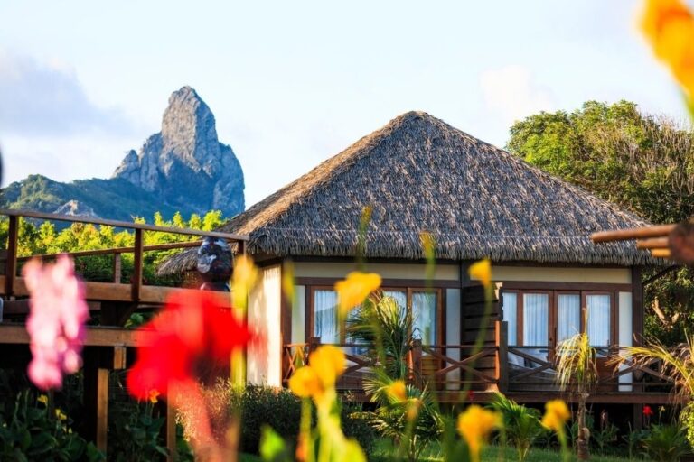 NANNAI Noronha