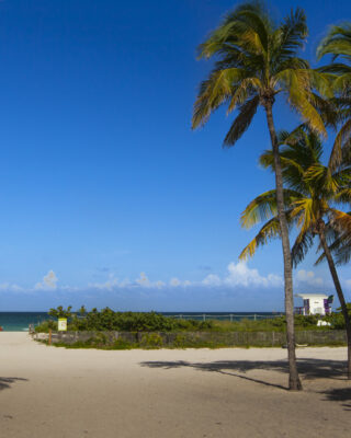 L.E Miami
